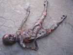 Burnt Ana Cadaver