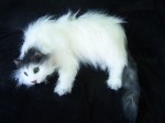 Fluffy White Cat Prop